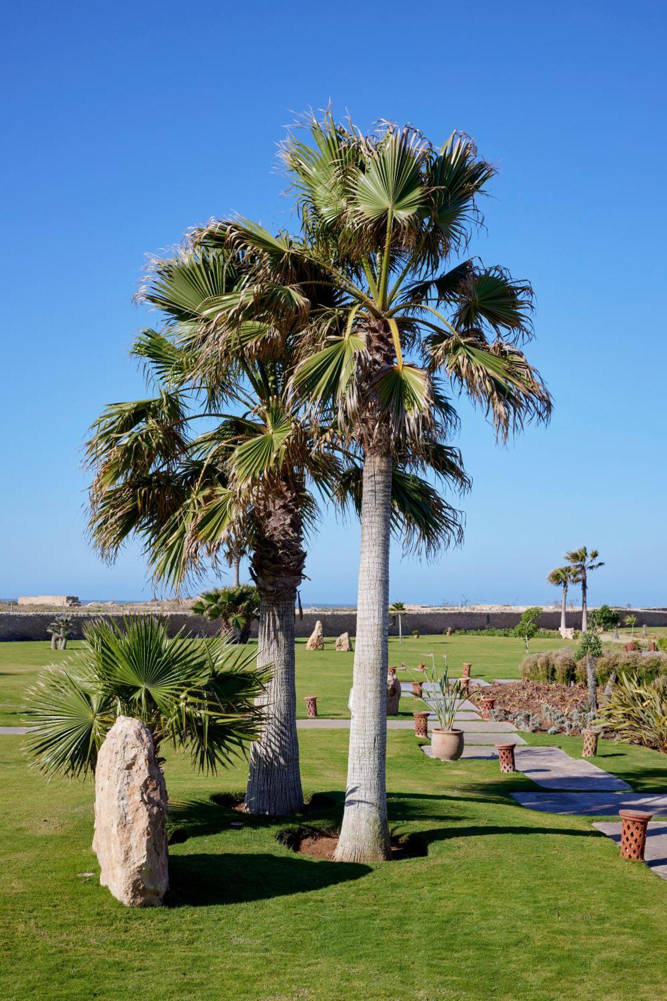 BABERRIH Hôtel Hospitality Palaces&Resorts Essaouira Exterior foto